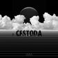 Cestoda - Aseptic (Digital)