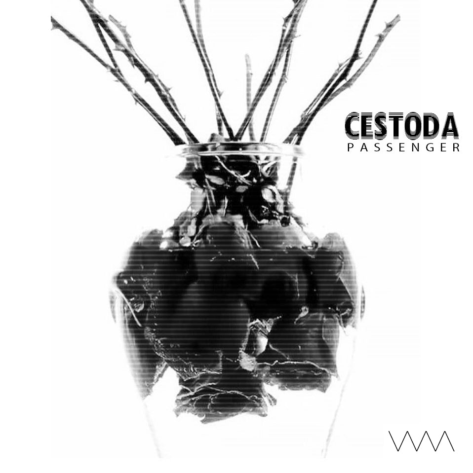 Cestoda Feat. ADY - Passenger (Digital Album)